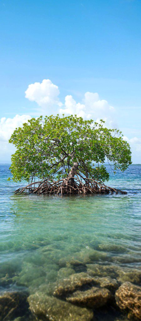 Beautiful Nature image