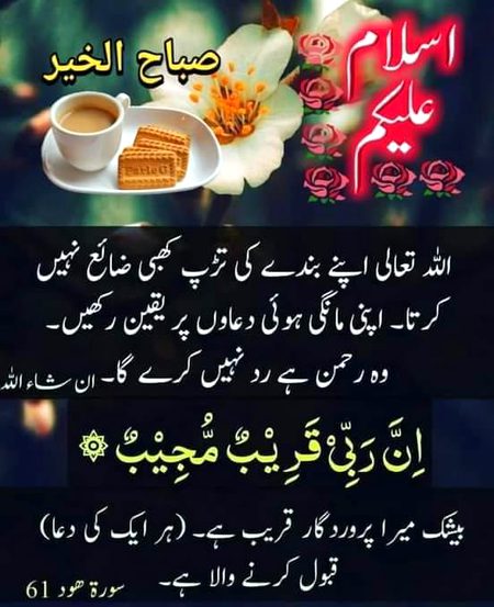 Good morning