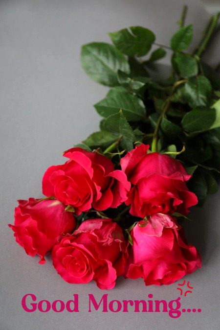 Beautiful Nature image
