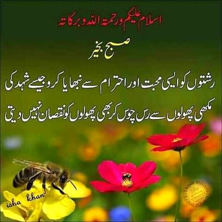 Good morning