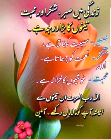 Islamic Quotes image