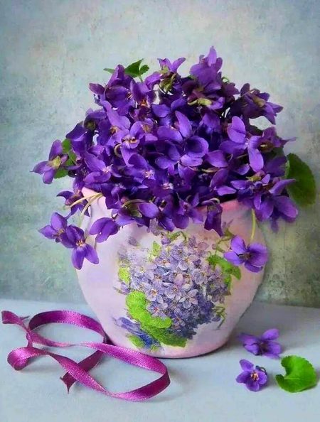 Beautiful Nature image
