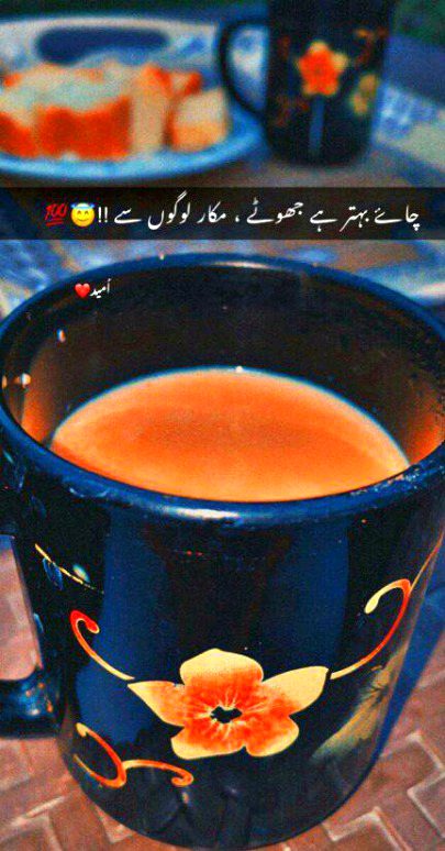 Attitude Quotes image