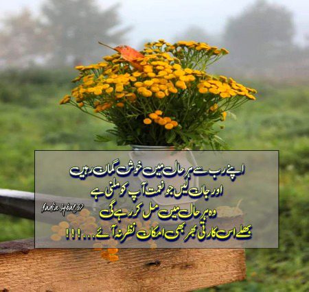 Islamic Quotes image
