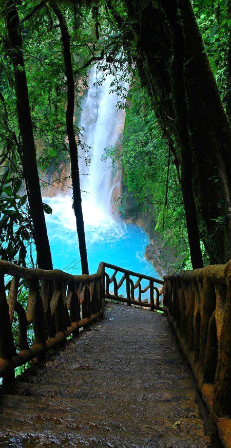 Beautiful Nature image