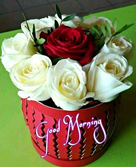 Good morning