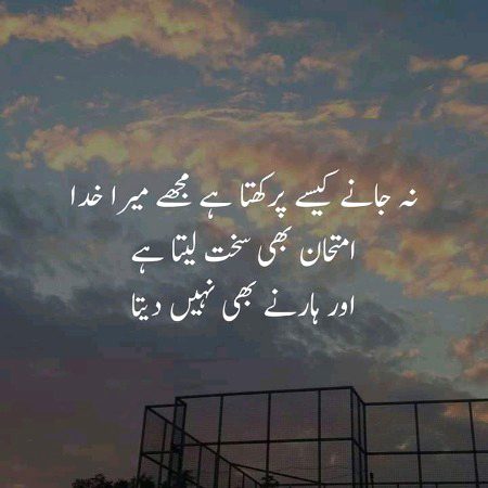 Good morning