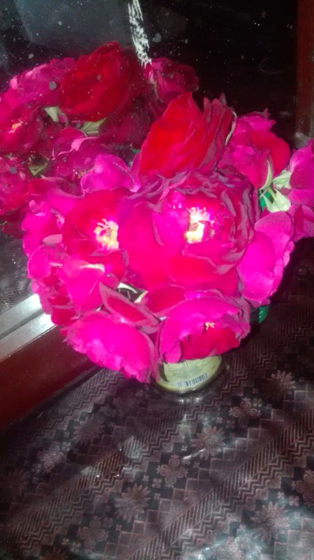 Beautiful Nature image