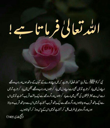 Islamic Quotes image