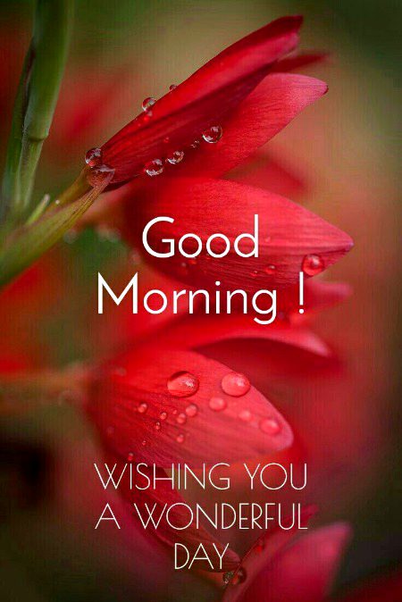 Beautiful Nature image