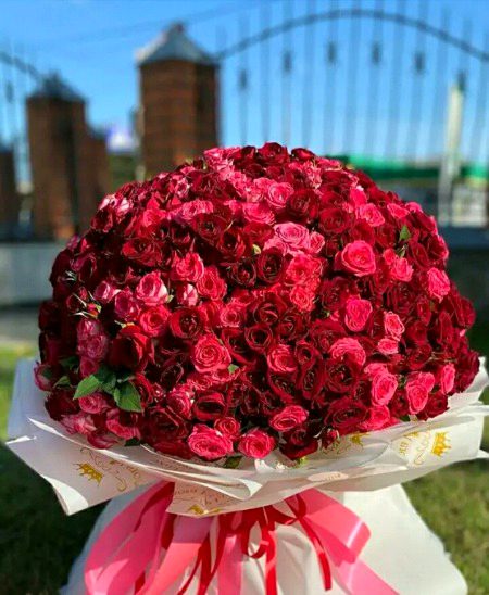 Beautiful Nature image