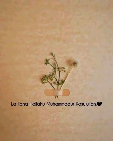 Islamic Quotes image