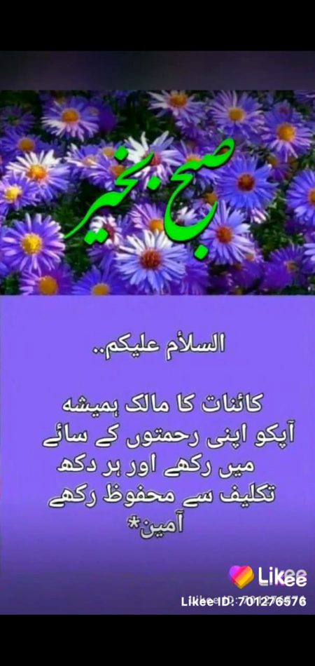 Good morning
