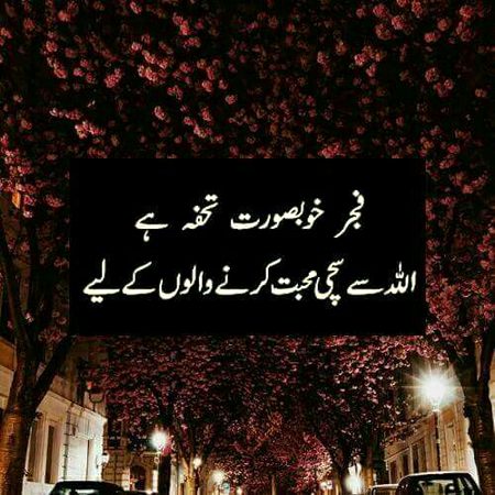 Islamic Quotes image