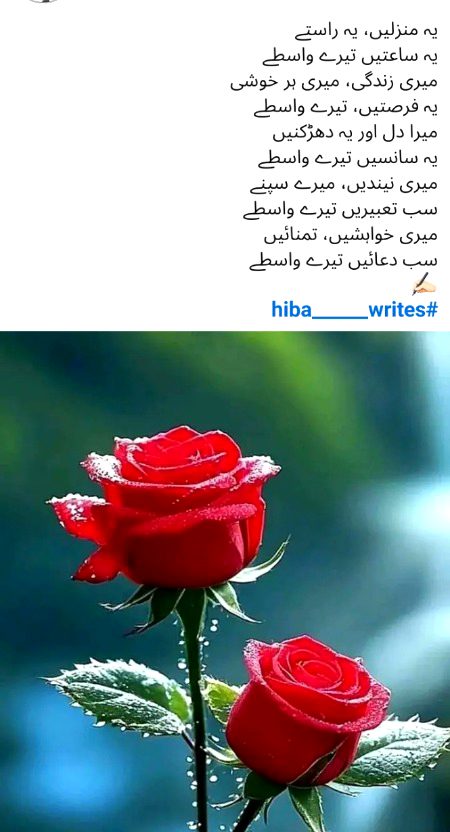 Romantic Poetry image