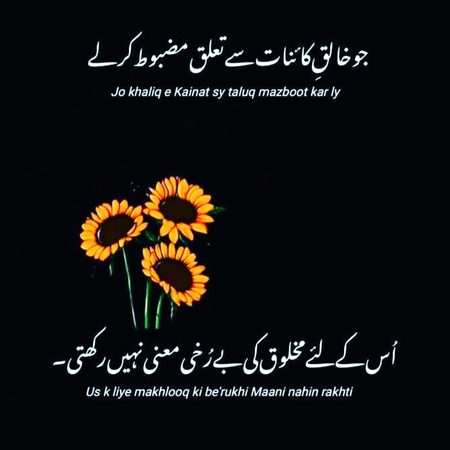 Islamic Quotes image