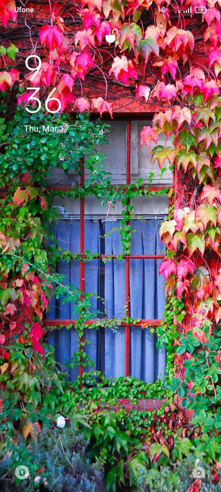 Beautiful Nature image