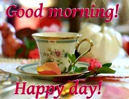 Good morning