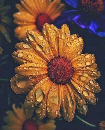 Beautiful Nature image