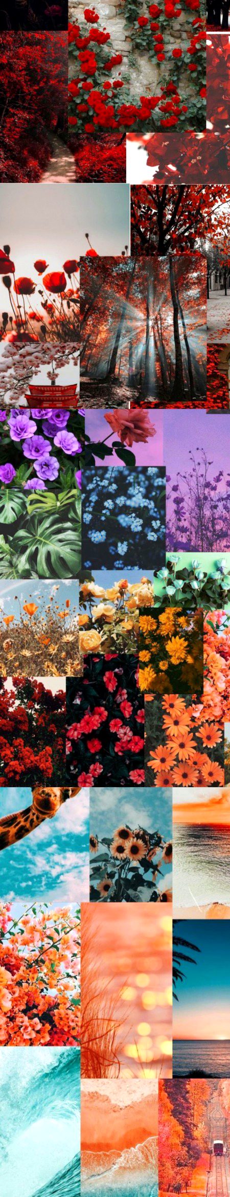 Beautiful Nature image