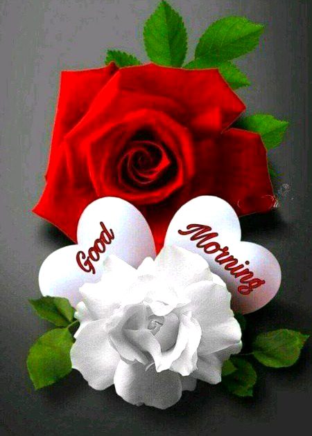 Good morning