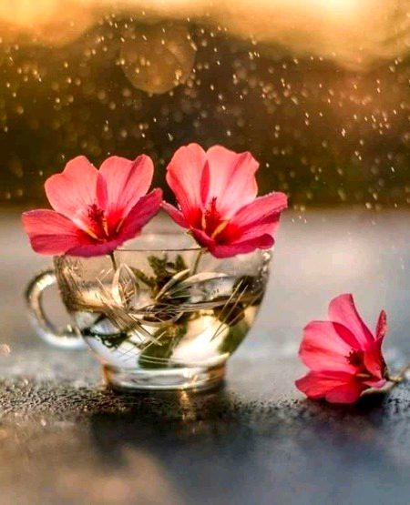 Beautiful Nature image