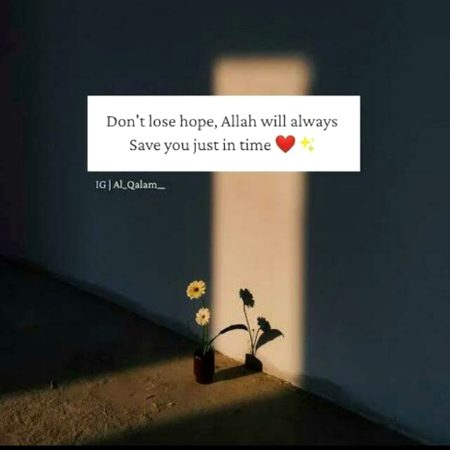 Life Advice image
