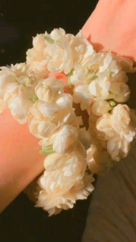 Beautiful Nature image