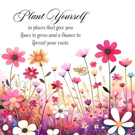 Motivational Quotes image