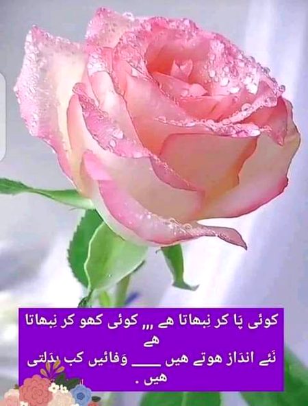 Attitude Poetry image