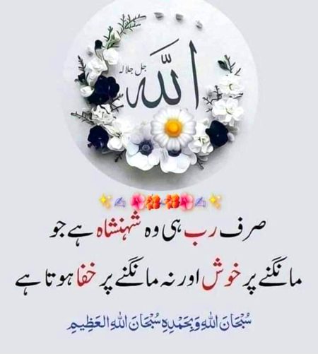 Islamic Quotes image