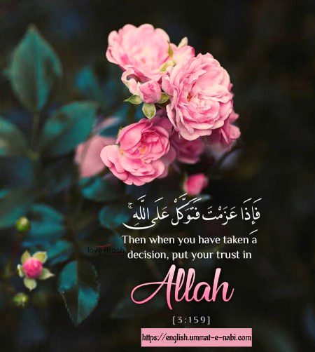 Islamic Quotes image