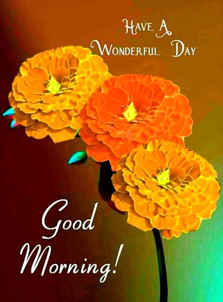 Good morning
