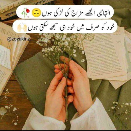 Attitude Quotes image