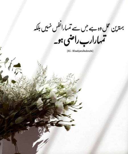 Islamic Quotes image