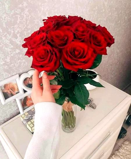 Beautiful Nature image