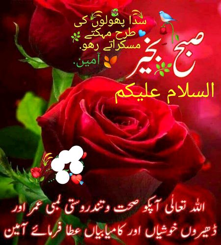 Good morning