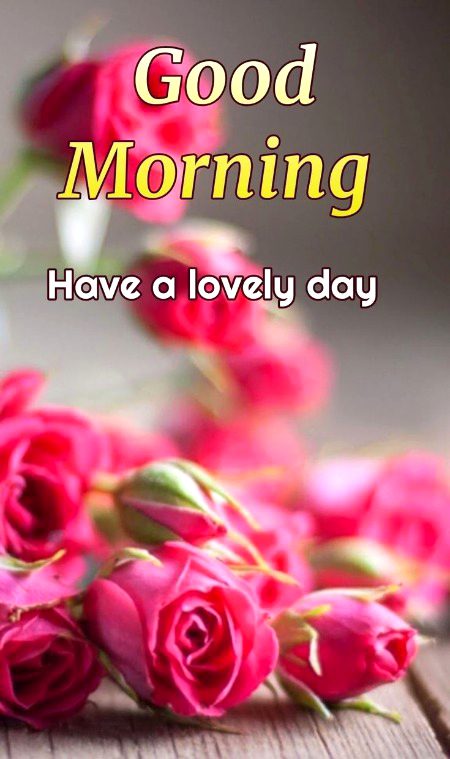 Beautiful Nature image