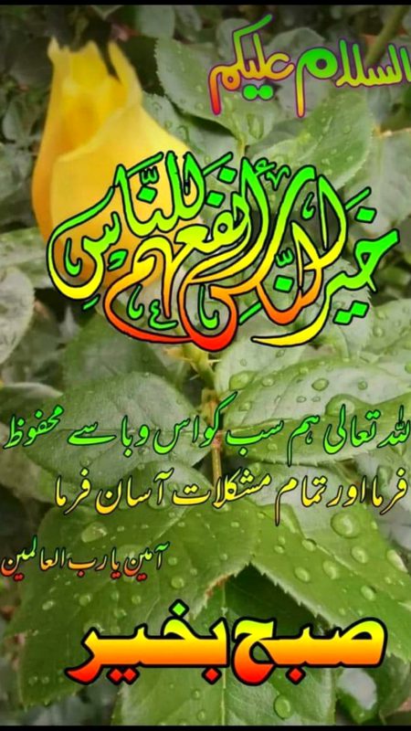 Good morning