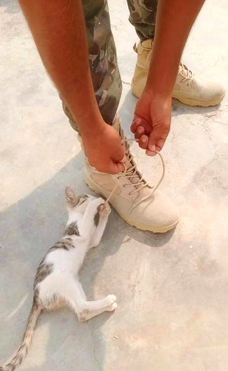 Beautiful Nature image