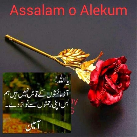 Islamic Quotes image