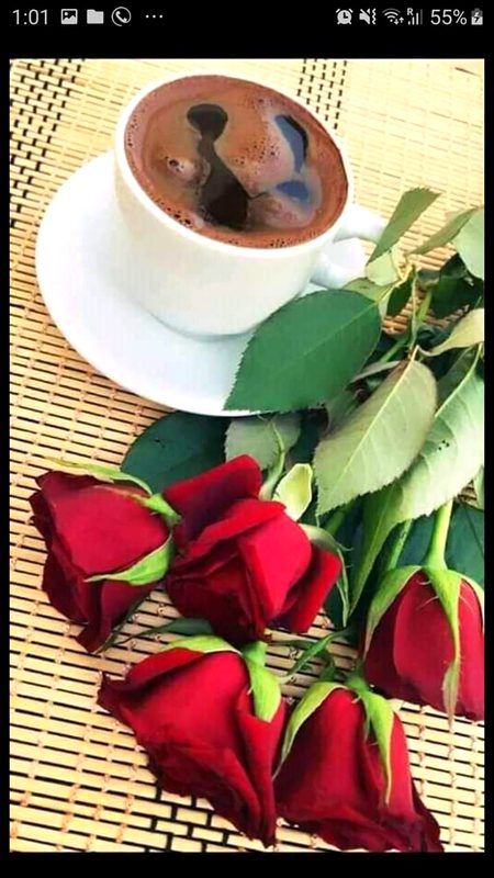 Good morning