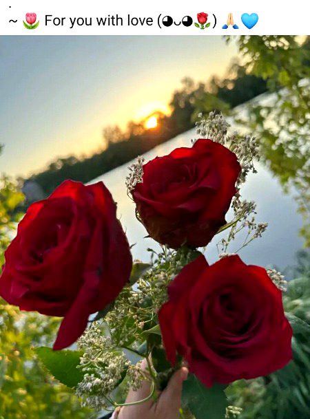 Beautiful Nature image