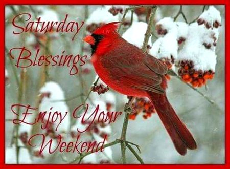 Good morning