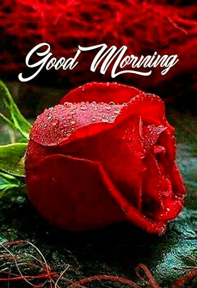 Good morning