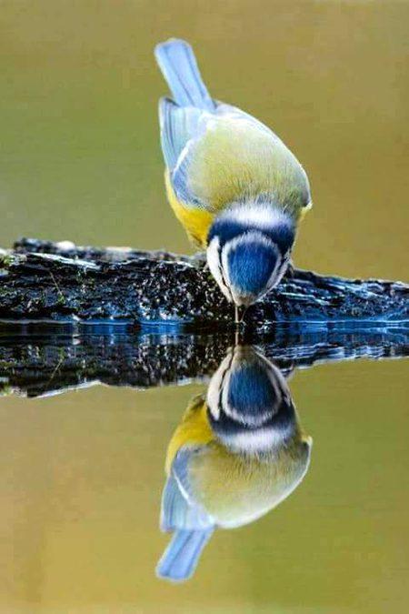 Beautiful Nature image