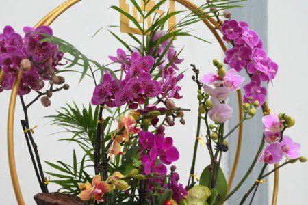 Beautiful Nature image