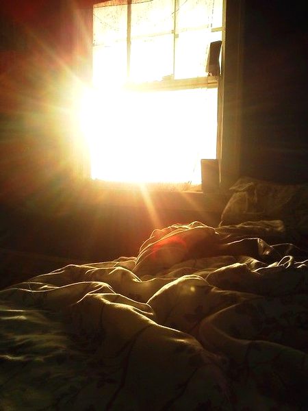 Beautiful Nature image