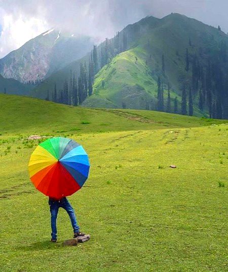 Beautiful Nature image
