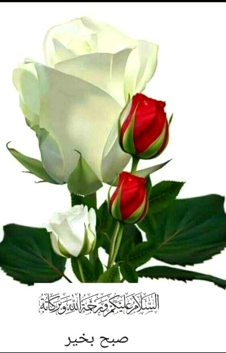 Beautiful Nature image